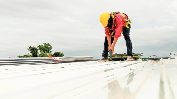 Best Roof Ventilation Installation  in Loyola, CA