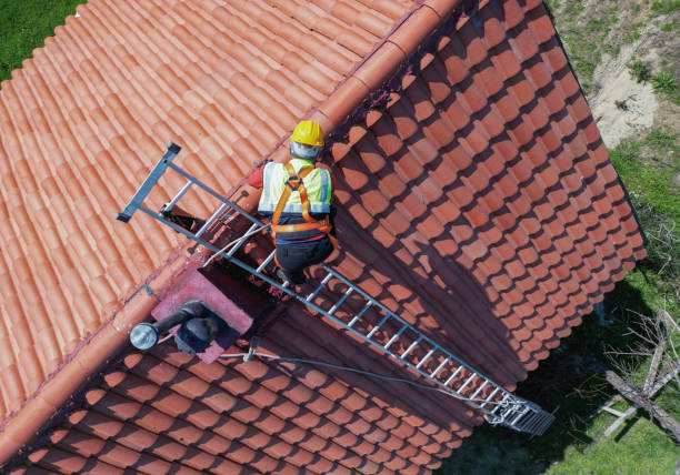 Trusted Loyola, CA Roofing Service Experts